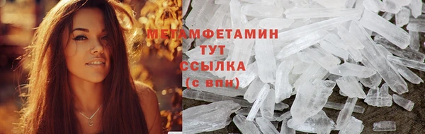 стафф Вязьма